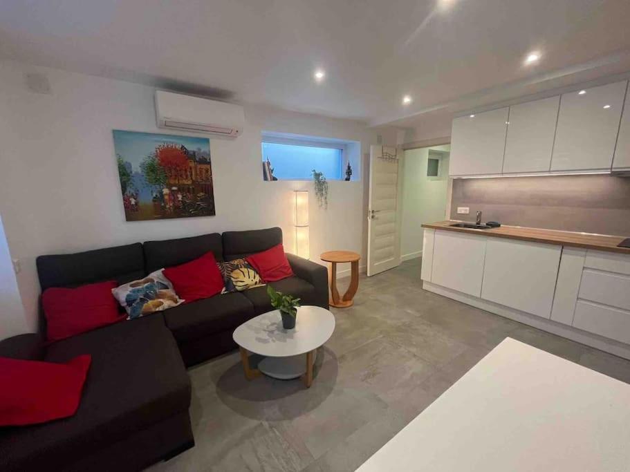 Appartement T2 Calme A Illkirch エクステリア 写真